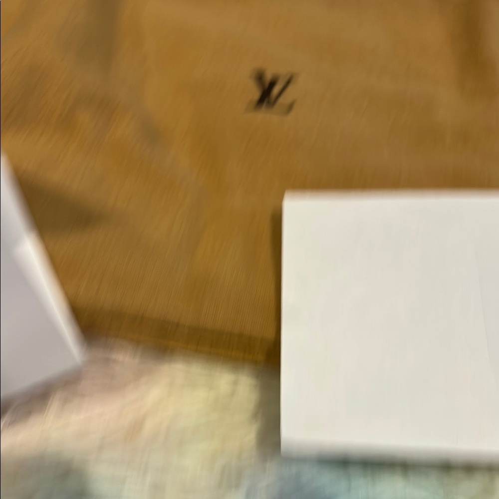 Louis Vuitton Tan Dust bag with COA , Salvatore Ferragamo and Tory Burch DB - Picture 13 of 14